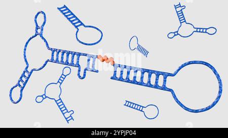 Rendering 3D di una chimera aptamer-shRNA, una nuova piattaforma terapeutica che sfrutta la specificità degli aptamers e la potenza dell'interferenza RNA. Foto Stock