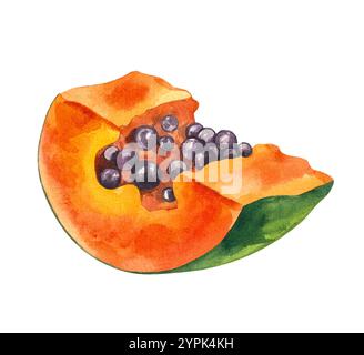 Papaya acquerello tropicale frutta disegnata a mano isolata Foto Stock