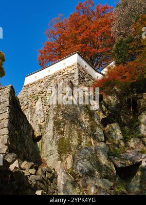 Fogliame autunnale al castello di Bitchu Matsuyama nella prefettura di Okayama, Giappone Foto Stock