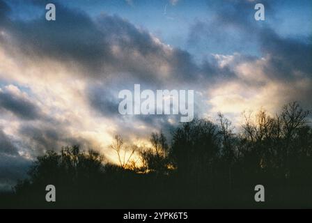 Il tramonto e le nuvole sulla foresta creano un ambiente tranquillo al crepuscolo Foto Stock