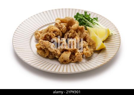 Butaniku Karaage, maiale fritto giapponese Foto Stock