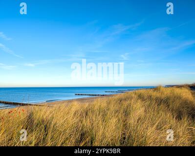 Dune sul Mar Baltico tedesco vicino alla città di Rostock Foto Stock