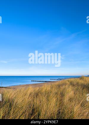 Dune sul Mar Baltico tedesco vicino alla città di Rostock Foto Stock