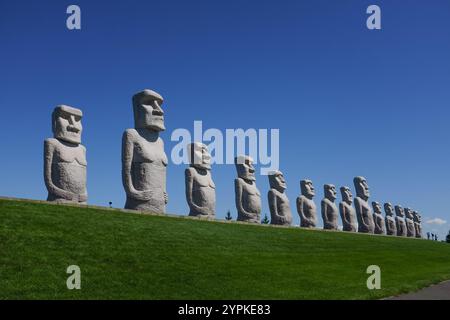 Statue moai nel cimitero Makomanai Takino vicino a Sapporo, in Giappone. Foto Stock