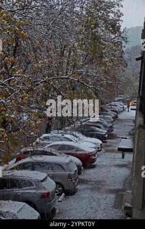 Momento di tempesta con vento forte, forte nevicata e foglie ancora intatte sugli alberi in una strada con auto parcheggiate, Sofia, Bulgaria Foto Stock