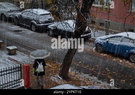 Momento di tempesta con vento forte, forte nevicata e foglie ancora intatte sugli alberi in una strada con auto parcheggiate, Sofia, Bulgaria Foto Stock