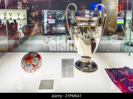 BARCELLONA - 11 AGOSTO: Coppa vinta dal FC Barcelona nella UEFA Champions League 2014-15, esposta al Camp Nou Experience Tour and Museum di Barcellona, Cataloni Foto Stock