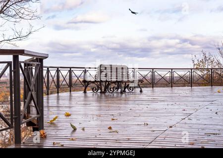 Terrazza con pavimento in legno nel parco. Due panchine e foglie gialle sul pavimento. Cielo blu tra le nuvole. Foto Stock