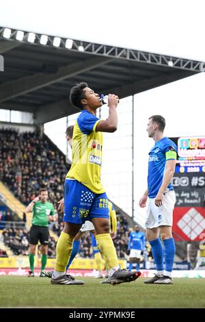 Sint Truiden, Belgio. 1 dicembre 2024. Joel Chima Fujita dello STVV raffigurato durante una partita di calcio tra Sint-Truiden VV e KRC Genk, domenica 01 dicembre 2024 a Sint-Truiden, il giorno 16 della stagione 2024-2025 della "Jupiler Pro League" prima divisione del campionato belga. BELGA PHOTO MAARTEN STRAETEMANS credito: Belga News Agency/Alamy Live News Foto Stock