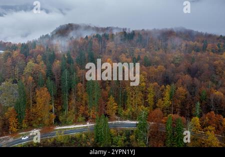 Antenna drone di Winding Road che attraversa la colorata foresta autunnale con la nebbia che si insinua. Valle del lago bohinj, Slovenia Foto Stock