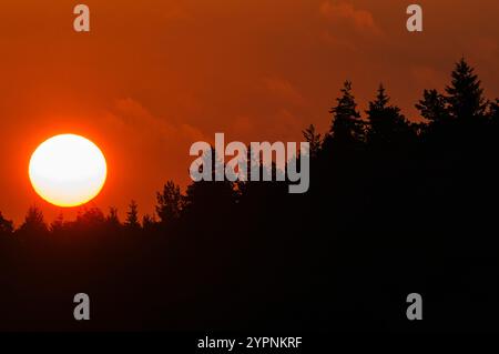 Un vibrante sole arancione tramonta dietro alti alberi sempreverdi, gettando una silhouette serena contro il cielo colorato al crepuscolo. La scena cattura la bellezza di Foto Stock