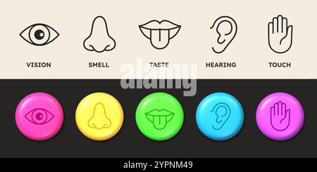 Icone SENSE. Cinque organi sensoriali in stile minimale. Simboli del badge a colori della percezione. Mano e lingua umane che simboleggiano il tocco. Visione dell'occhio. Odore Illustrazione Vettoriale