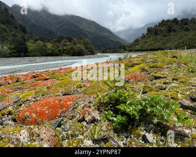 Estuario del ghiacciaio Franz Josef Foto Stock