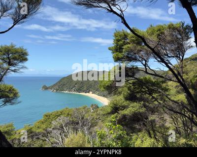 Una vista mozzafiato di una spiaggia isolata con sabbia dorata, circondata da lussureggianti foreste verdi e incorniciata da alberi vibranti, che si affaccia sui sereni turchi Foto Stock