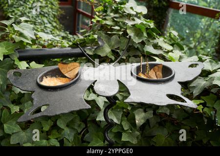 Vara Blanca, Costa Rica - 14 novembre 2024 - farfalle nel Parco naturale dei Giardini delle Cascate di la Paz Foto Stock