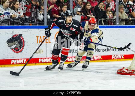 Germania. 1 dicembre 2024. Eishockey Penny-DEL 22.Spieltag Koelner Haie - Schwenninger Wild Wings AM 01.12.2024 in der Lanxess Arena a Koeln Louis-Marc Aubry ( Koeln ), Links - Alexander Karachun ( Schwenningen ), rechts Gemaess den Vorgaben der DEL Deutsche Eishockey Liga ist die Publikation und Weiterverwertung der Aufnahmen in elektronischen Spiehren Mediahren Spiefefnahmen in Foto: Revierfoto credito: ddp media GmbH/Alamy Live News Foto Stock