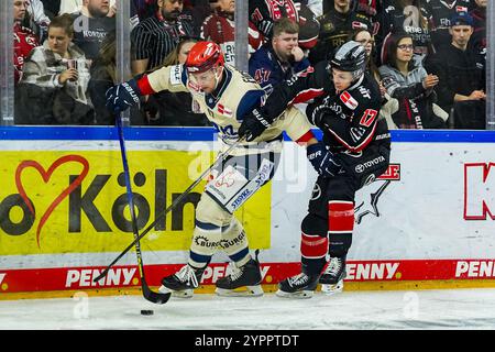 Germania. 1 dicembre 2024. Eishockey Penny-DEL 22.Spieltag Koelner Haie - Schwenninger Wild Wings AM 01.12.2024 in der Lanxess Arena a Koeln Alexander Karachun ( Schwenningen ), Links - Jan Luca Sennhenn ( Koeln ), rechts Gemaess den Vorgaben der DEL Deutsche Eishockey Liga ist die Publikation und Weiterverwertung der Aufnahmen in elektronischen Spiehren Mediahren Spiefefnahmen in Foto: Revierfoto credito: ddp media GmbH/Alamy Live News Foto Stock