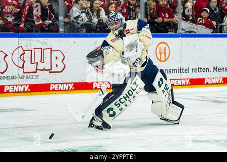 Germania. 1 dicembre 2024. Eishockey Penny-DEL 22.Spieltag Koelner Haie - Schwenninger Wild Wings AM 01.12.2024 in der Lanxess Arena a Koeln Joacim Eriksson ( Schwenningen ) Gemaess den Vorgaben der DEL Deutsche Eishockey Liga ist die Publikation und Weiterverwertung der Aufnahmen in elektronischen Medien und Endgeraeten aller Art waehrend des lauzden Spiehrend des fenzicht. Foto: Revierfoto credito: ddp media GmbH/Alamy Live News Foto Stock