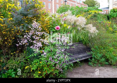 Inner Temple perenne fiori di giardino fioriscono al confine con panchina erba autunno 2024 ottobre Londra Inghilterra Regno Unito Gran Bretagna KATHY DEWITT Foto Stock