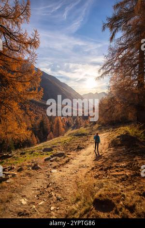 Vista della valle Lotschental in autunno al tramonto. Alpi Bernesi, Canton Vallese, Svizzera. Foto Stock