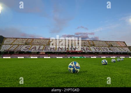 Salerno, Italia. 1 dicembre 2024. Vista generale all'interno dello Stadio Arechi della Salernitana americana prima della partita di serie B tra US Salernitana e Carrarese allo Stadio Arechi di Salerno, Italia, il 1° dicembre 2024. Crediti: Nicola Ianuale/Alamy Live News Foto Stock