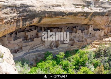 Cliff Palace al Mesa Verde National Park in Colorado, USA Foto Stock