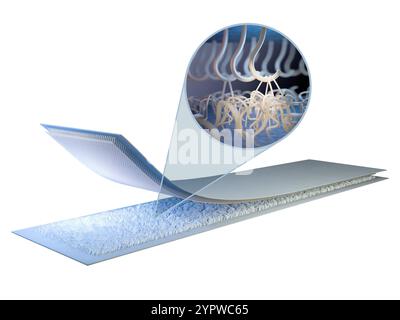 Primo piano di una striscia di velcro. Illustrazione digitale, rendering 3D. Foto Stock