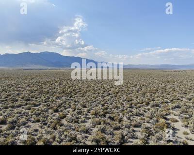 Vista aerea della terra desertica polverosa e arida e delle montagne sullo sfondo Lee Vining Mono County, California, USA, Nord America Foto Stock