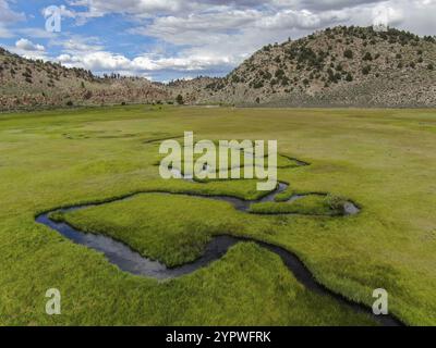 Veduta aerea della terra verde e del piccolo fiume curvo con montagne sullo sfondo a Aspen Springs, Mono County California, USA, Nord America Foto Stock