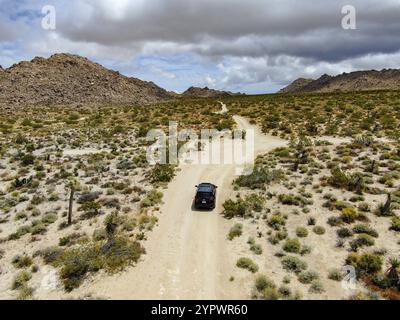 Vista aerea di un'auto 4x4 che guida fuoristrada nel deserto. Parco nazionale di Joshua Tree. Parco nazionale americano nel sud-est della California. SUV in auto Foto Stock