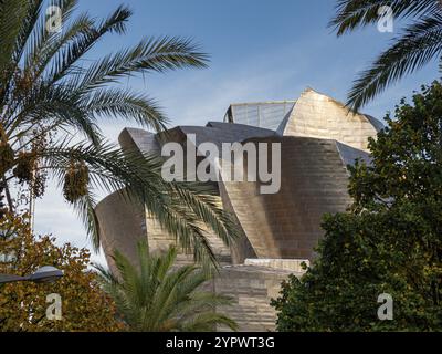 Guggenheim Museum Bilbao, XX secolo, progettato da Frank O. Gehry, Bilbao, Paesi Baschi, Spagna, Europa Foto Stock
