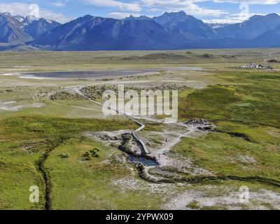 Vista aerea di mandrie di mucche nel prato verde con montagne sullo sfondo. Mucche che pascolano su un pascolo di montagna vicino al lago Crowley, orientale Foto Stock