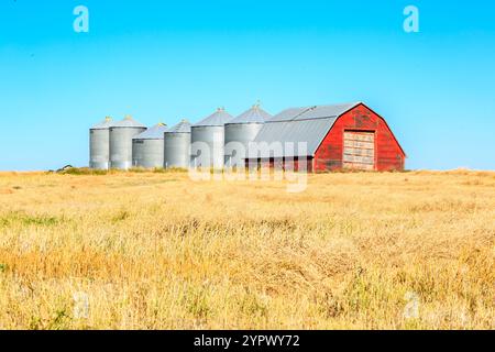 Un fienile rosso si trova in un campo di erba gialla. Il fienile è circondato da numerosi grandi silos. La scena è tranquilla e serena, con il fienile e i silos b Foto Stock