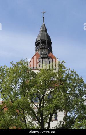 Torre della sala congressi dello zoo di Lipsia in primavera. Lipsia, Sassonia, Germania, Europa Foto Stock