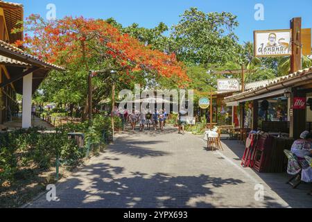 Famosa strada pedonale principale per turisti e negozi, bar e ristorante a Praia do Forte, stato di Bahia, Brasile. 22 febbraio 2020 Foto Stock