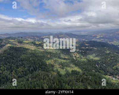 Vista aerea dei vigneti della Napa Valley durante la stagione estiva. Napa County, nella regione dei vini della California Foto Stock