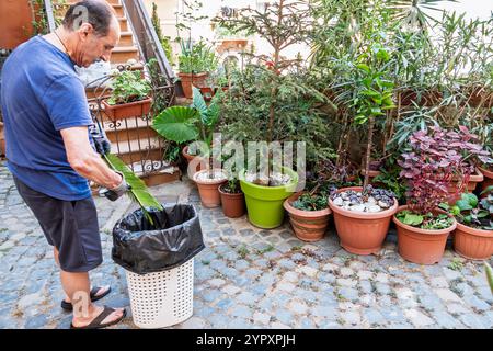 Civitavecchia, via dell'Orazione, uomo che pulisce le piante in vaso di terracotta, giardino verde, cortile in pietra acciottolata, scala in metallo, rai decorativo Foto Stock