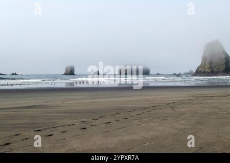 Vista panoramica sulla Second Beach, l'Olympic National Park, lo stato di Washington, con montagne marine e marea in arrivo. Foto Stock