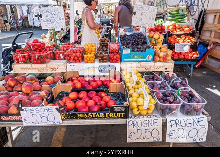 Civitavecchia Italia, Piazza Regina Margherita, mercato di Civitavecchia, mercato di San Lorenzo, mercato Coperto, mercato della Piazza, mercato all'aperto, frutta Foto Stock