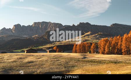 Serena alba alpina: Scopri la bellezza mozzafiato degli alberi autunnali, delle maestose montagne, dei vibranti colori autunnali e delle prime vette innevate Foto Stock