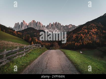 Una strada accogliente incastonata nelle Dolomiti con una pineta e montagne sullo sfondo al tramonto Foto Stock