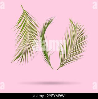 Foglie tropicali verdi in aria su sfondo rosa Foto Stock