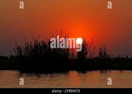 Tramonto panoramico sul fiume Chobe, con vegetazione a fiato, il Parco Nazionale del Chobe e il Botswana Foto Stock