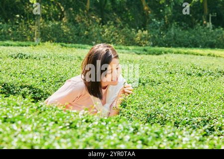 La donna in mezzo al labirinto verde Foto Stock