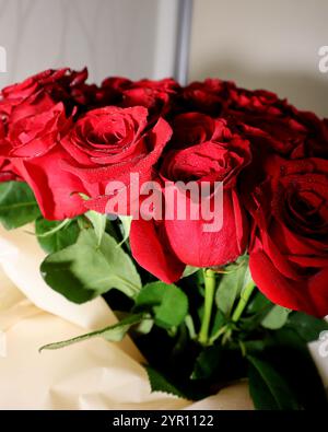 Foto macro di rose rosse. Foglie verdi e germogli. Il bouquet è avvolto in carta da imballaggio color latte. Grigio chiaro, sfondo sfocato. Gocce di rugiada ar Foto Stock
