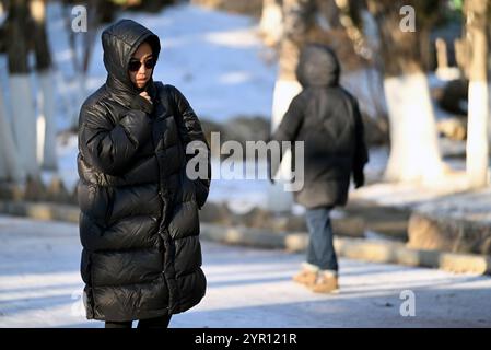 SHENYANG, CINA - 2 DICEMBRE 2024 - i cittadini indossano abiti spessi mentre camminano su una strada di Shenyang, provincia di Liaoning, Cina, 2 dicembre 2024. Foto Stock