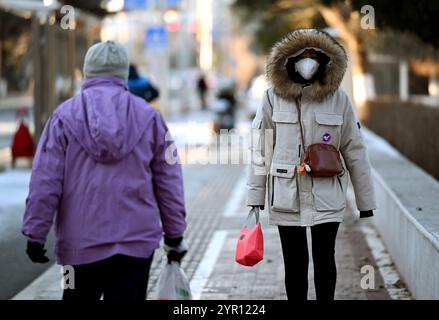 SHENYANG, CINA - 2 DICEMBRE 2024 - i cittadini indossano abiti spessi mentre camminano su una strada di Shenyang, provincia di Liaoning, Cina, 2 dicembre 2024. Foto Stock