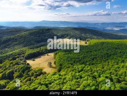 Veduta da droni della roccia nella foresta verde di collina nella montagna slovacca Pohronsky Inovec Foto Stock
