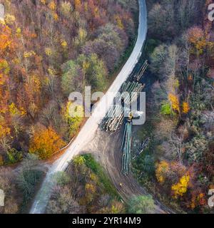 Vista aerea di un deposito di legname nella foresta pluviale amazzonica: Il giardino è situato in una radura circondata da una fitta foresta. I registri sono impilati in una riga ordinata Foto Stock