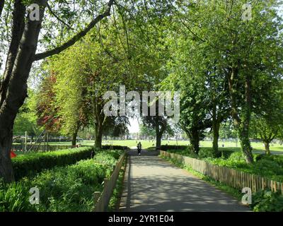 donna che cammina lungo un sentiero alberato nel parco durante la primavera Foto Stock